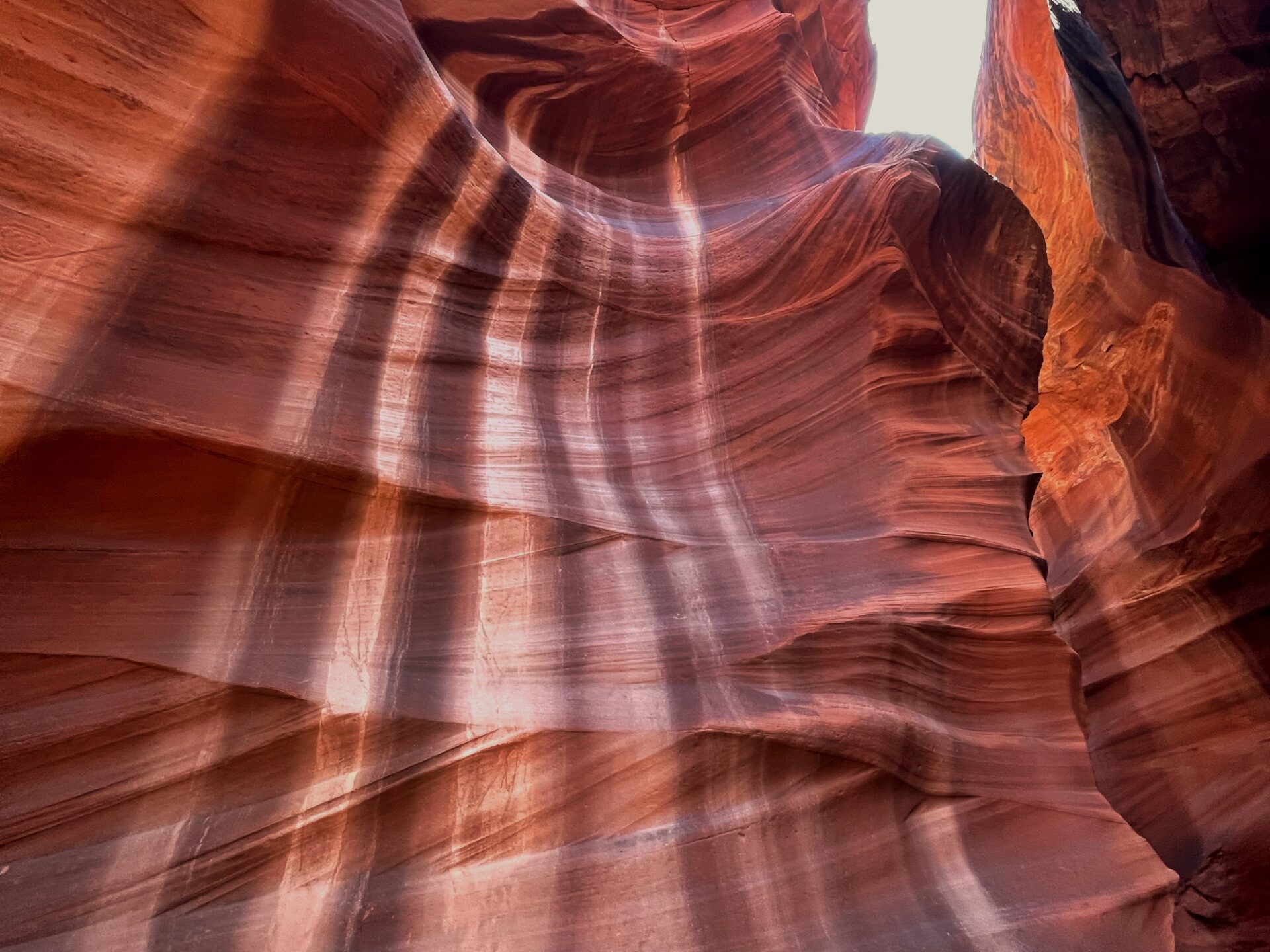 Taadidiin Tours | Antelope Canyon X Hiking & Photo Tours