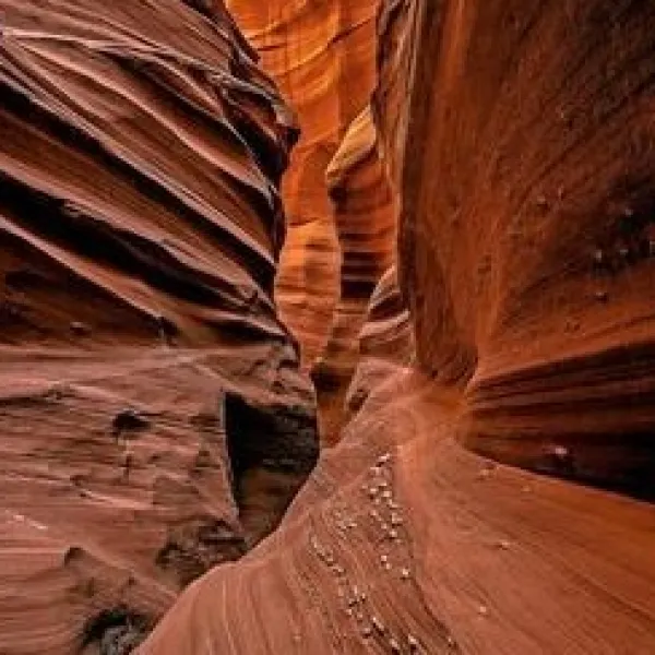 Cardiac canyon