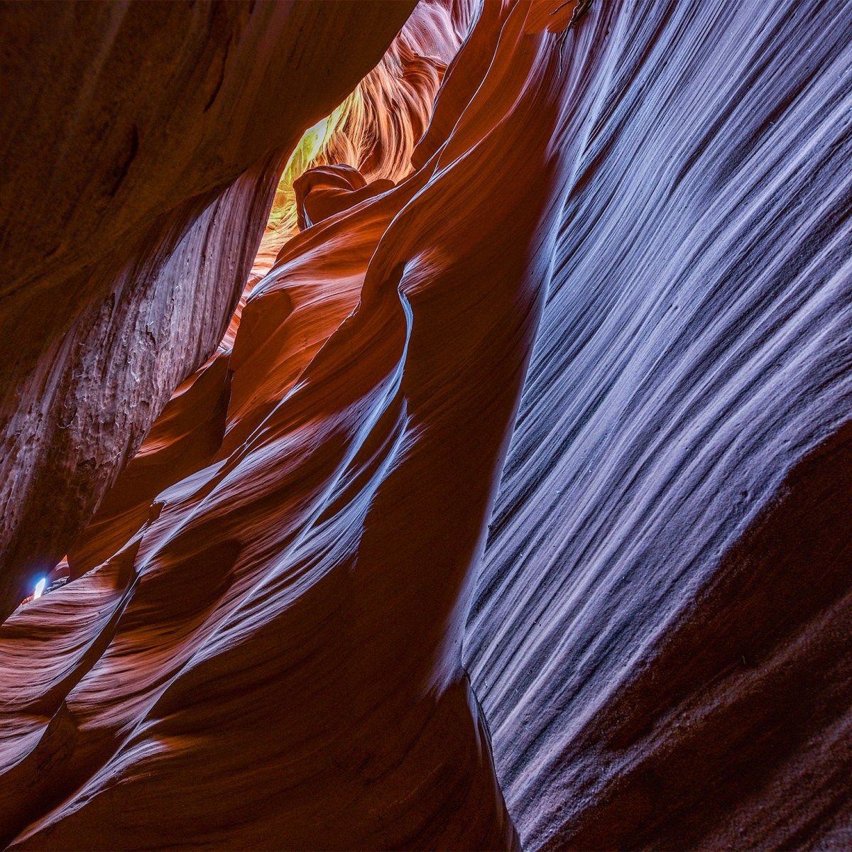 south cardiac canyon