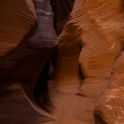 an elephant with a rock wall