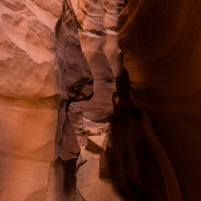 a person looking towards the camera