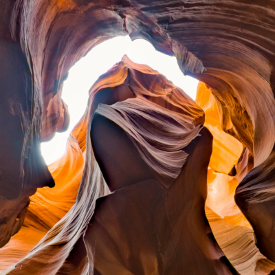 a close up of a horse