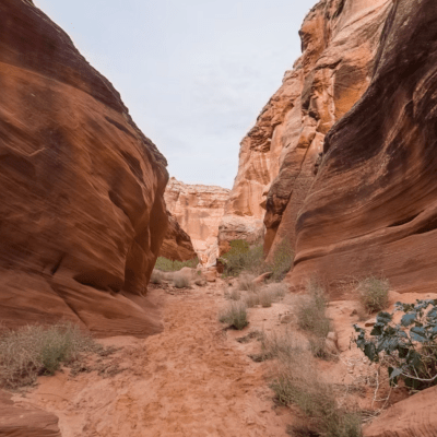 a canyon with a mountain in the background