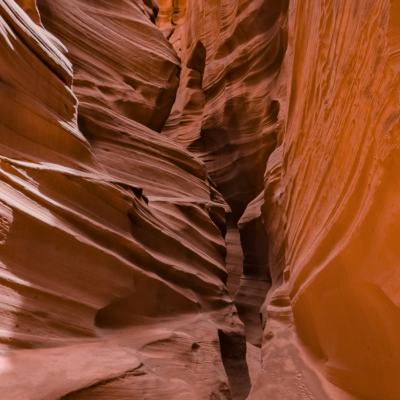 anterope canyon フォトTee anterope canyon フォトTee（カットソー/Tシャツ）｜ETRÉ TOKYO