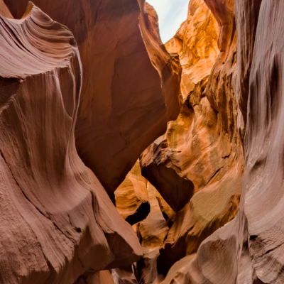 a close up of a canyon