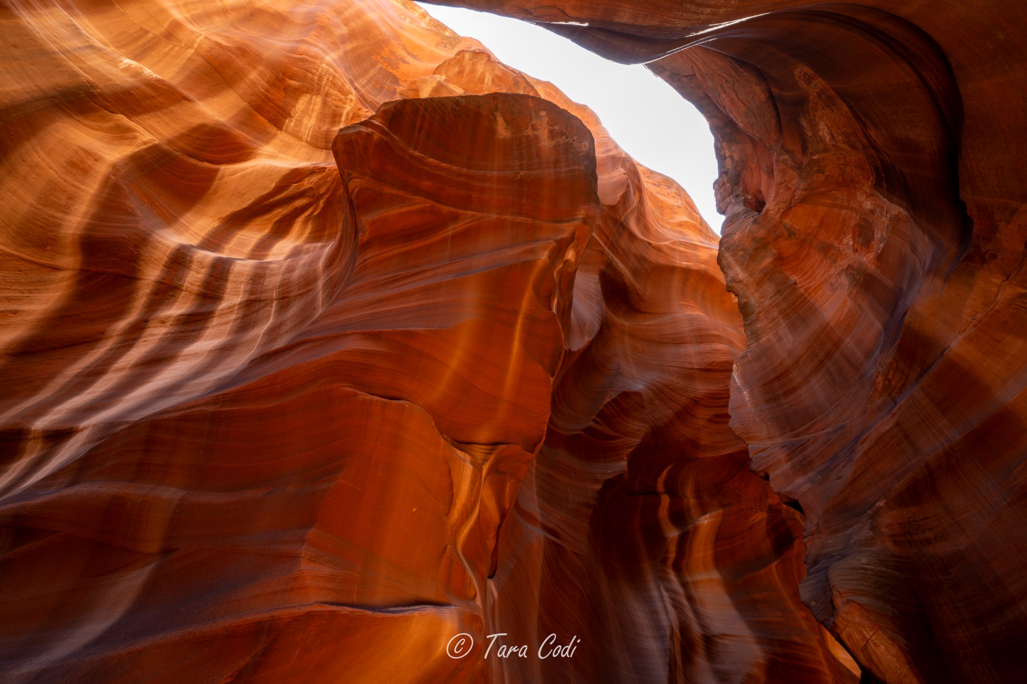 Antelope Canyon Half Marathon | Taadidiin Tours